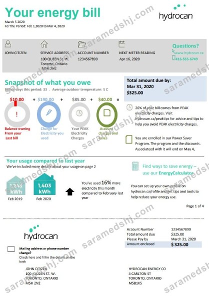 USA Ontario Hydrocan electricity utility bill template in Word and PDF format